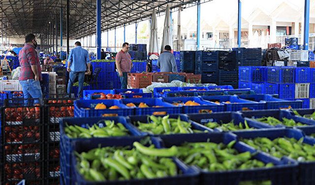 İstanbul Hal Fiyatları Sebze