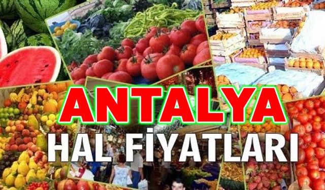 Antalya Hal Fiyatlarında Geniş Aralık: Domatesten Çileğe, 7 TL’den 175 TL’ye