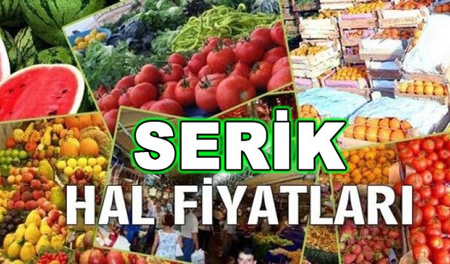 Serik Hal Fiyatları 22 Kasım