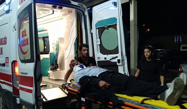 Adana'da bariyere çarpan otomobildeki 2 kişi yaralandı