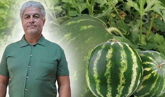 Antalya'da karpuzlar tarlada kaldı! Üretici gelecek yıldan endişeli!
