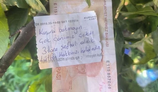 3 Şeftali karşılığında not ve para bıraktı