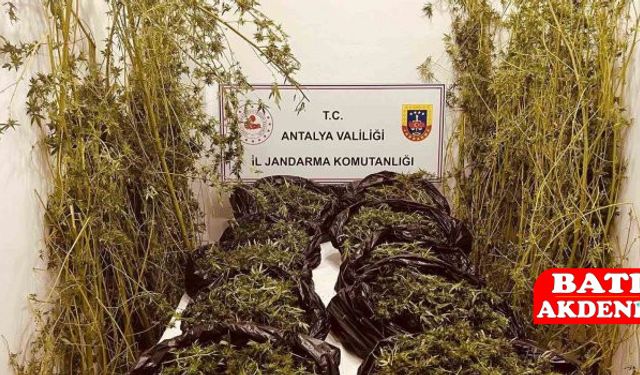 Antalya’da Operasyon: Seralarda Zehir Üretimine Darbe