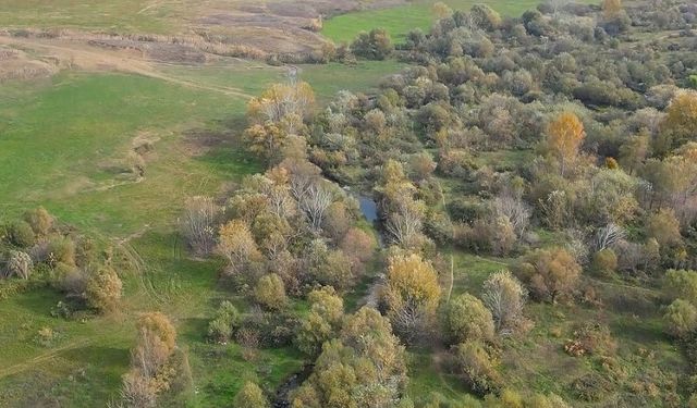 Şüpheli Ölüm: Ölüm: Türk Vatandaşı Otomobilde Ölü Bulundu