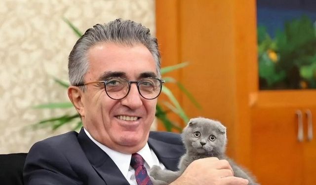 Bayrampaşa’da Kedi Tartışması: Başkanın Emanetine CHP’li Üyeden Sahiplenme