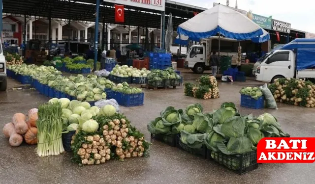 Antalya Hal Fiyatları Güncellendi: Sebze Piyasasında Hareketlilik