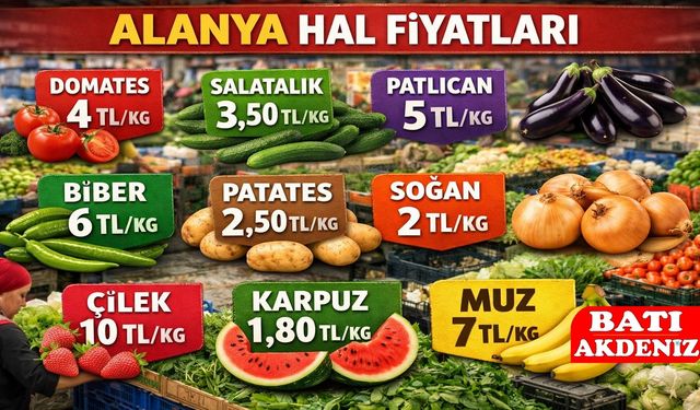 Alanya Hal Fiyatları Güncellendi