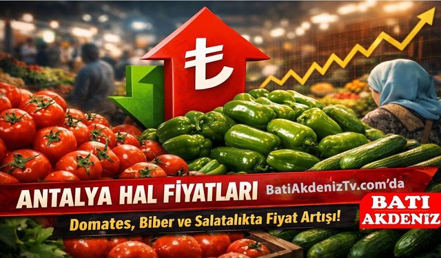 Antalya Hal Fiyatları Güncellendi: 24 ocak cumartesi Sebze Fiyatları