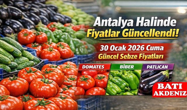 Antalya Halinde Fiyatlar Güncellendi: 30 Ocak 2026 Cuma Güncel Sebze Fiyatları