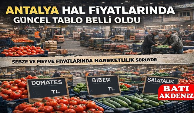 Antalya Hal Fiyatlarında Güncel Tablo Belli Oldu