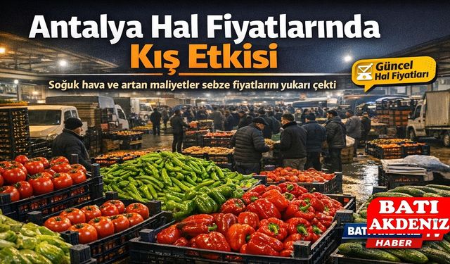 Antalya Hal Fiyatlarında Kış Etkisi: Sebze üretimi düştü Fiyatlar yükselişte
