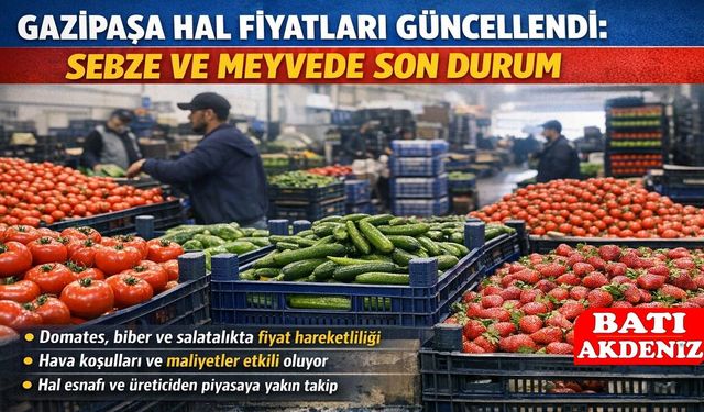 Gazipaşa Hal Fiyatları 24 Ocak Cumartesi Sebze piyasası