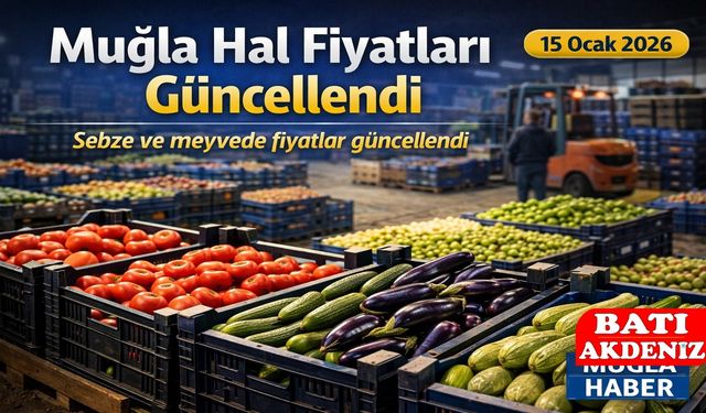 Muğla Hal Fiyatları Güncellendi | 15 Ocak 2026