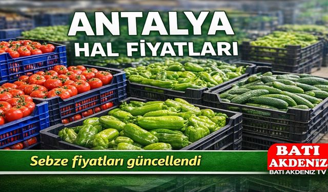 Antalya Halinde 4 Şubat Sebze Fiyatları