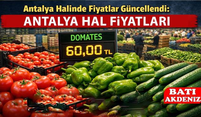 Antalya Halinde Fiyatlar Güncellendi: 3 Şubat 2026 Salı