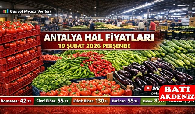 Antalya Hal Fiyatları 19 Şubat 2026 Perşembe