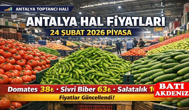 Antalya Hal Fiyatları 24 Şubat 2026 Piyasa