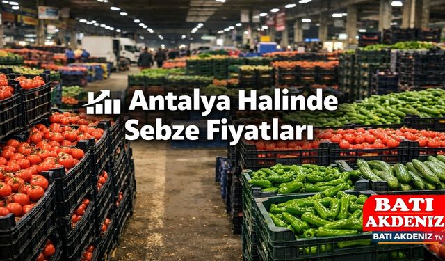 Antalya Halinde Sebze Fiyatları