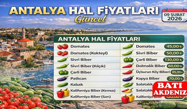 Antalya Hal Fiyatları Güncel