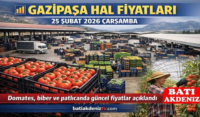 Gazipaşa Hal Fiyatları 25 Şubat 2026 Çarşamba