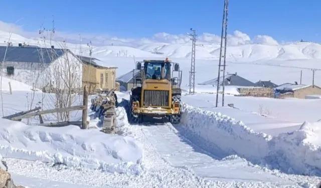 Kar Van'ı esir aldı