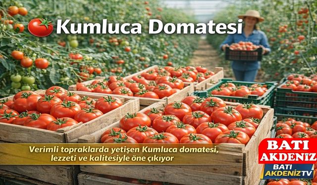 Kumluca Domatesi Sofraların Vazgeçilmezi Olmayı Sürdürüyor