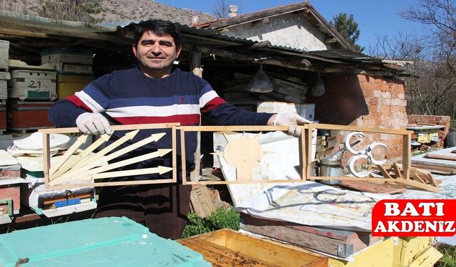 Arılar Sandık Başında! Amasya’da Kovanlarda “Siyasi Seçim” Deneyi