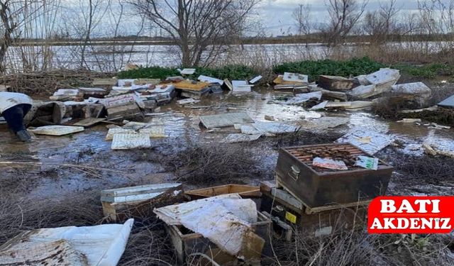 Gediz Nehri Taştı, Salihli’de 103 Arı Kovanı Telef Oldu