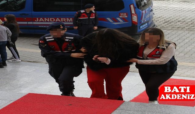 Sosyal medyada jandarmaya asılsız iddialar da bulunan kadın gözaltına alındı