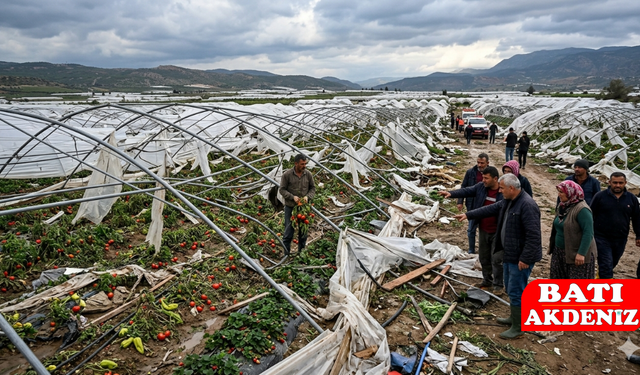 Mersin'in Silifke ilçesinde hortum seraları yerle bir etti Tonlarca ürün ziyan oldu