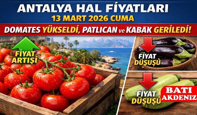 Antalya Hal Fiyatları 13 Mart 2026 Cuma: Domates Yükseldi, Patlıcan ve Kabak Geriledi