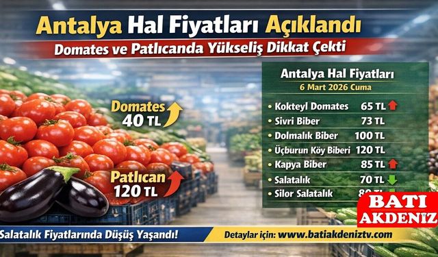 Antalya Hal Fiyatları Açıklandı: Domates ve Patlıcanda Yükseliş Dikkat Çekti