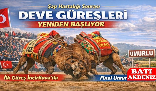 Deve Güreşleri Yeniden Başlıyor: İlk Güreş İncirliova’da, Final Umurlu’da