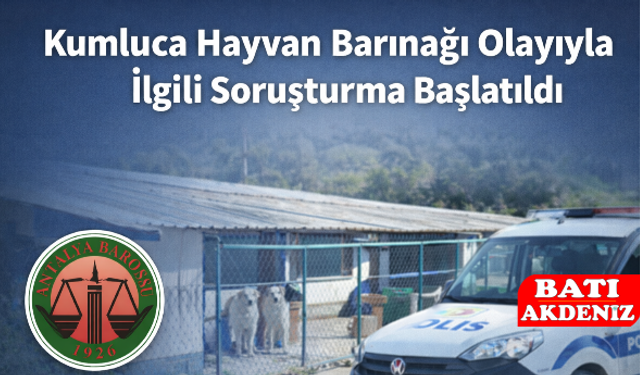 Kumluca Hayvan Barınağı Olayıyla İlgili Soruşturma Başlatıldı
