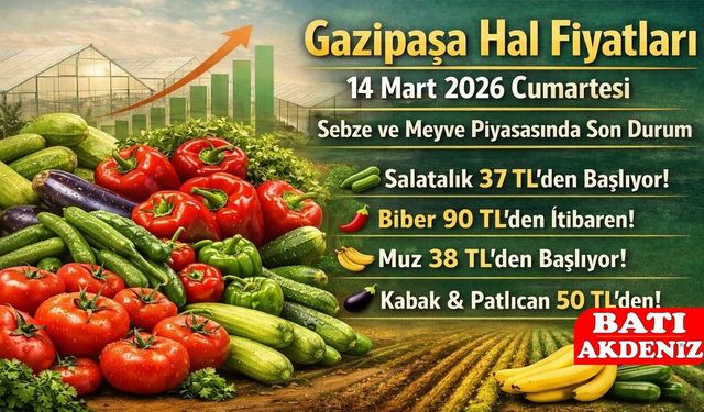 Gazipaşa Hal Fiyatları 14 Mart 2026 Cumartesi: Sebze ve Meyve Piyasasında Son Durum