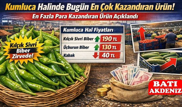 Kumluca Halinde Bugünün Kazandıranı Belli Oldu! En Çok Para Getiren Ürün Açıklandı