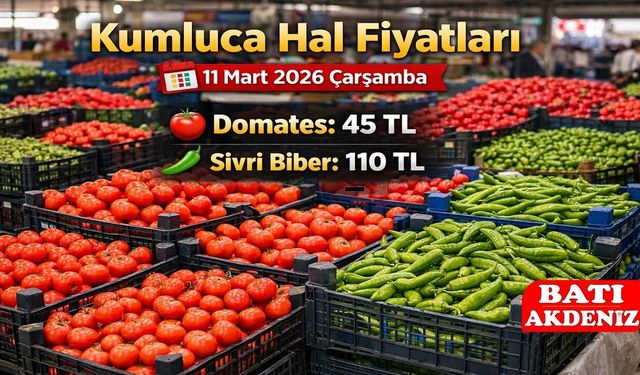 Kumluca Hal Fiyatları 11 Mart 2026 Çarşamba: Domates 45 TL, Sivri Biber 110 TL