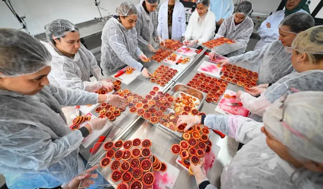 Mersinli kadınlar kan portakalını geleceğe taşıyor