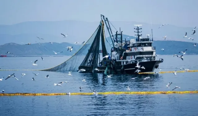 Denizlerde av yasağı 15 Nisan'da başlıyor