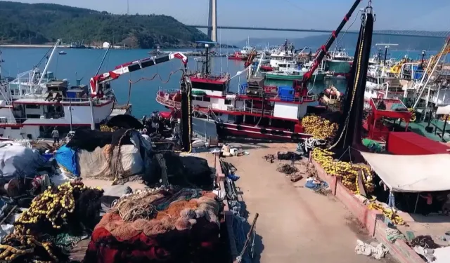 Hamside rekor sezon... 245 bin ton avcılıkla bereketli kapanış