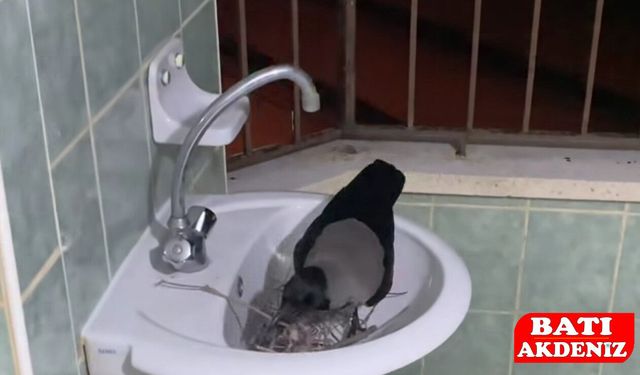 Ceksın ile İbrahim'in dostluğu sosyal medyanın gündeminde