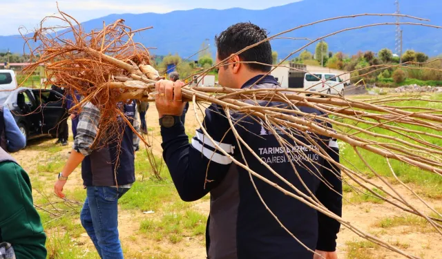 Üreticiye çifte destek