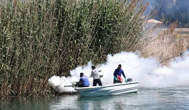 Antalya'da denizden karaya ilaçlama yapılıyor