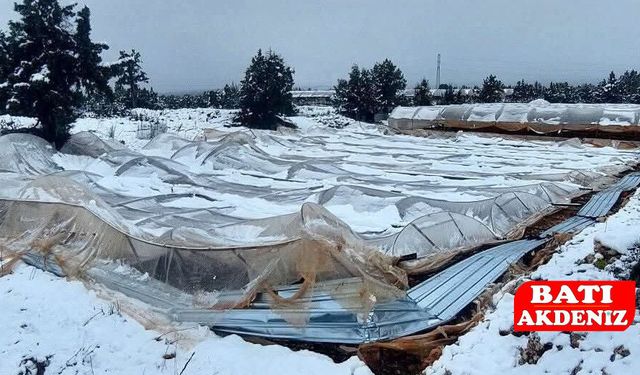 Mersin Erdemli’de Kar Seraları Yıktı Seralar Çöktü, Üretici Zor Durumda