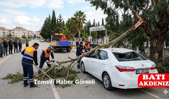 Kumluca Karşıyaka’da Kırılan Ağaç Dalı Aracın Üzerine Düştü!