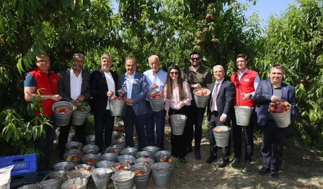 Şeftali ve nektarinde 250 milyon dolar ihracat hedefi