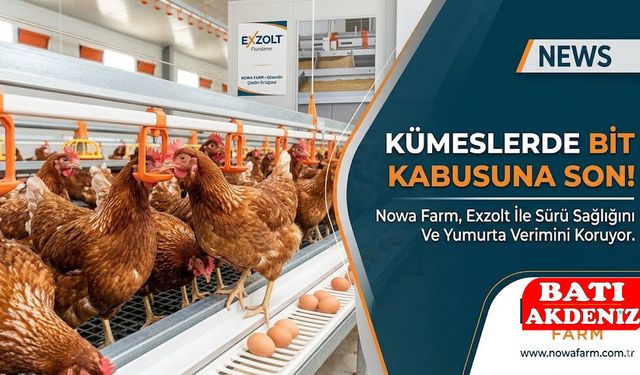Bit Yaşam Döngüsünü Kıran Teknoloji: Exzolt Bit Ilacı Şimdi Nowa Farm’da