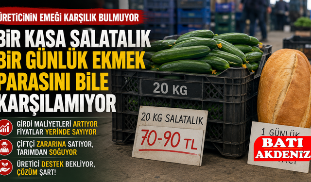 Bir Kasa Salatalık Bir Günlük Ekmek Parasını Bile Karşılamıyor