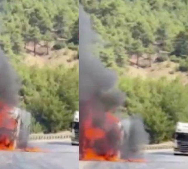 Motor kısmından alev aldı: Burdur'da buğday yüklü tır kül oldu