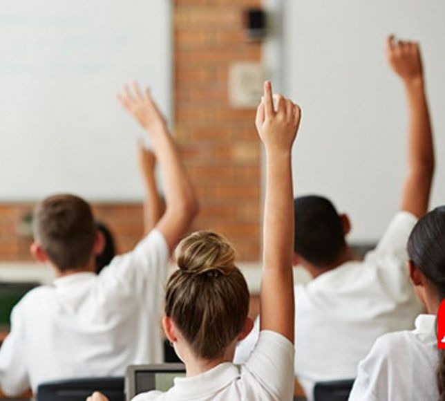 “Bilinçli Tüketici” Dersi Geliyor!